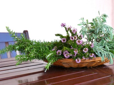 Apartment One bedroom apartment with terrace and sea view Rukavac, Vis A-8839-a - Outdoor photo 27