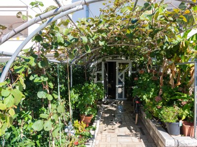 Apartment One bedroom apartment with terrace Rovinj A-9702-a - Outdoor photo 9