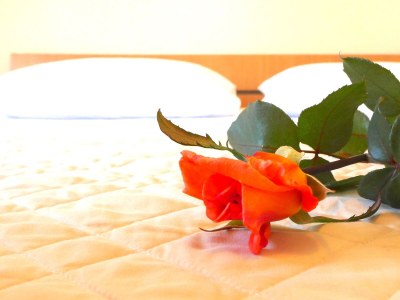 Apartment One bedroom apartment with terrace and sea view Rukavac, Vis A-8839-b - Outdoor photo 20