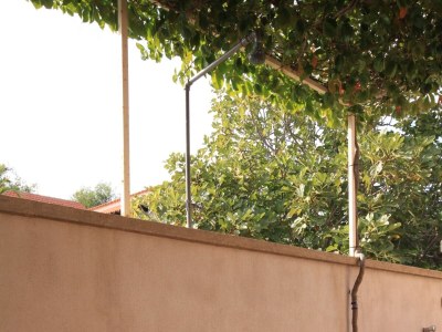 Apartment One bedroom apartment with terrace and sea view Rukavac, Vis A-8839-b - Outdoor photo 26