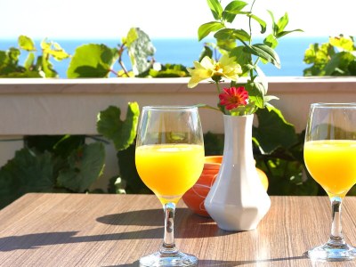 Apartment One bedroom apartment with terrace and sea view Rukavac, Vis A-8839-b - Outdoor photo 32