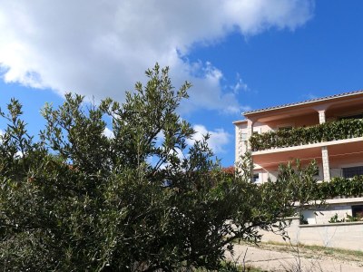Apartment Two bedroom apartment with terrace and sea view Rukavac, Vis A-8839-c - Outdoor photo 2