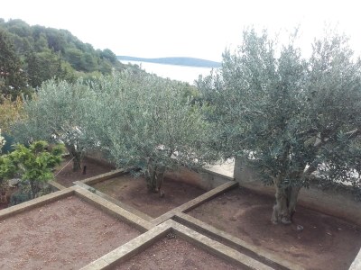 Apartment Two bedroom apartment with terrace and sea view Rukavac, Vis A-8839-c - Outdoor photo 7