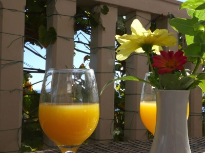 Apartment Two bedroom apartment with terrace and sea view Rukavac, Vis A-8839-c - Outdoor photo 34