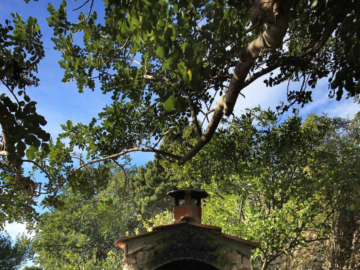 Apartment One bedroom apartment with terrace and sea view Zavala, Hvar A-8912-a - Outdoor photo 5