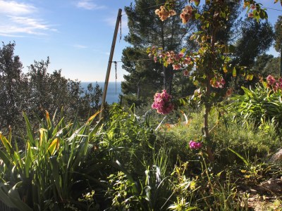 Apartment One bedroom apartment with terrace and sea view Zavala, Hvar A-8912-a - Outdoor photo 7