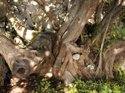 Apartment One bedroom apartment with terrace and sea view Zavala, Hvar A-8912-a - Outdoor photo 8