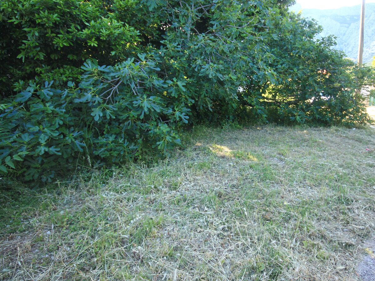 Apartment One bedroom apartment with air-conditioning Orebić, Pelješac A-10094-a - Outdoor photo 3