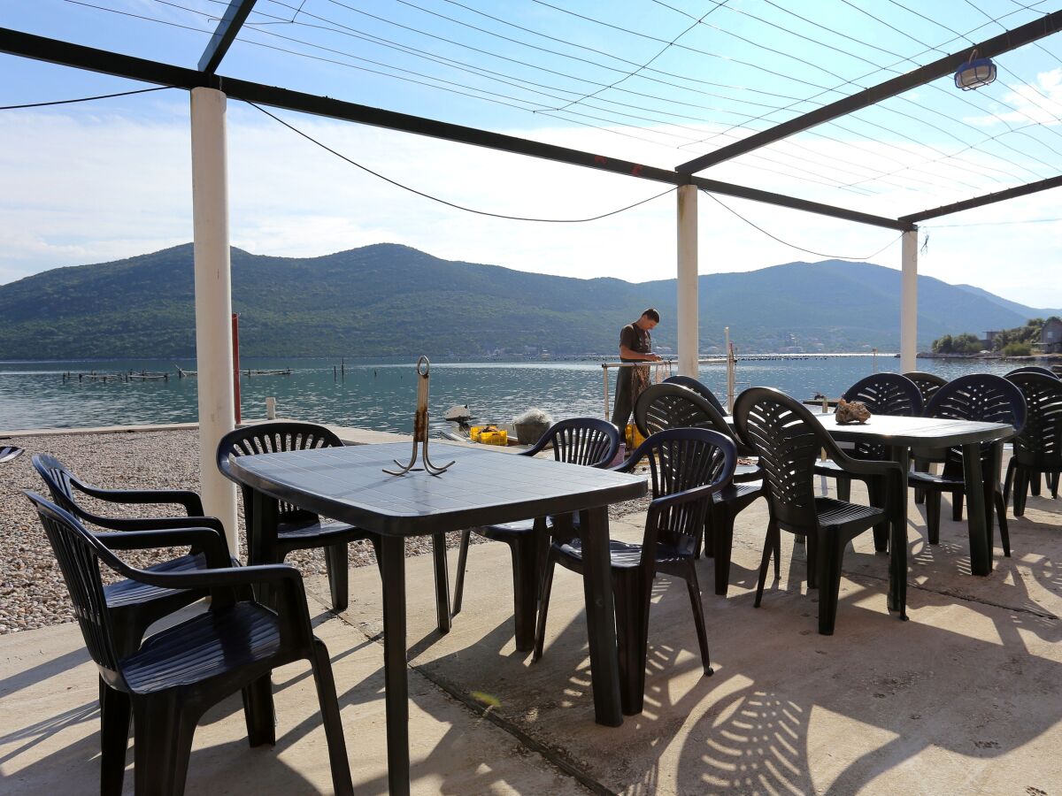 Apartment One bedroom apartment near beach Žuronja, Pelješac A-10123-c