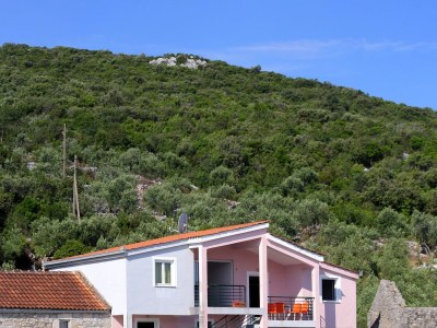 Apartment One bedroom apartment near beach Žuronja, Pelješac A-10123-c - Outdoor photo 3