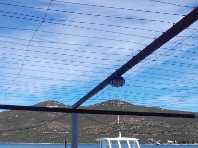 Apartment One bedroom apartment near beach Žuronja, Pelješac A-10123-c - Outdoor photo 11