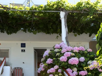 Apartment Two bedroom apartment near beach Drače, Pelješac A-10130-a - Outdoor photo 8