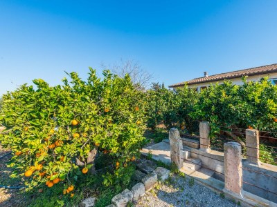 Finca Es Serral - Outdoor photo 18