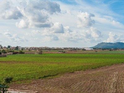 Finca Es Serral - Environment photo 48