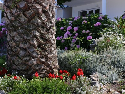 Apartment Two bedroom apartment near beach Drače, Pelješac A-10130-b - Outdoor photo 6