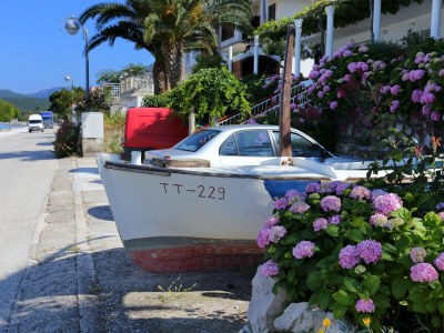 Apartment Two bedroom apartment near beach Drače, Pelješac A-10130-b - Outdoor photo 7