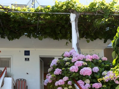 Apartment Two bedroom apartment near beach Drače, Pelješac A-10130-b - Outdoor photo 8