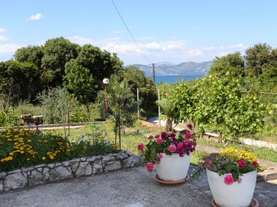 Apartment Studio flat with terrace and sea view Drače, Pelješac AS-10135-b - Outdoor photo 7