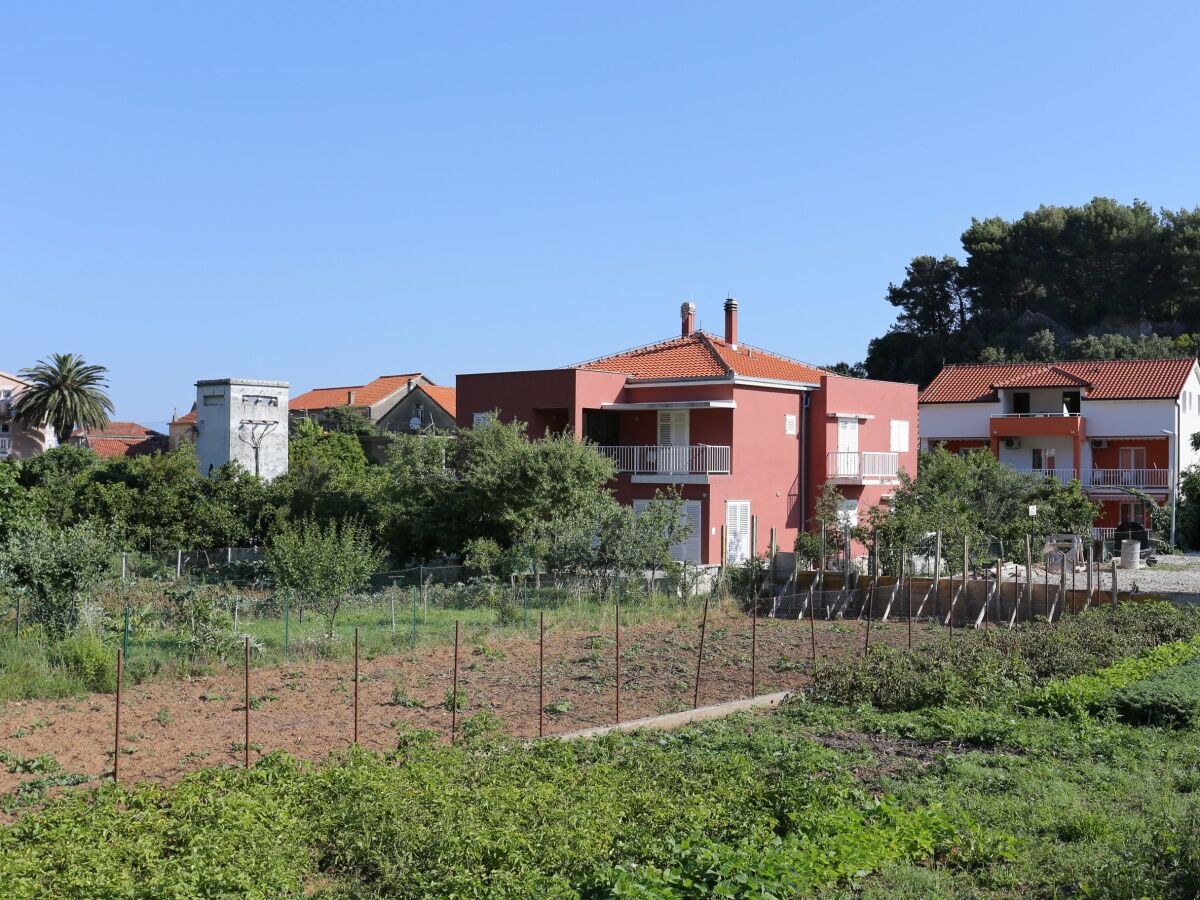Apartment One bedroom apartment with balcony Trpanj, Pelješac A-10136-b - Outdoor photo 4