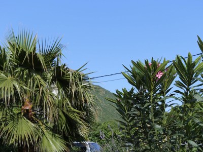 Apartment One bedroom apartment with balcony Trpanj, Pelješac A-10136-b - Outdoor photo 6