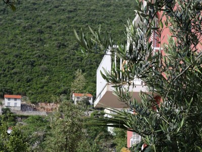 Apartment One bedroom apartment with balcony Trpanj, Pelješac A-10136-b - Outdoor photo 7