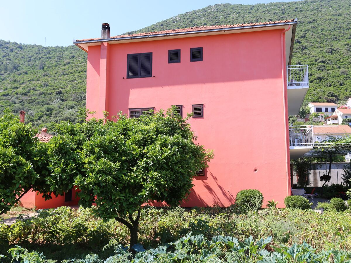 Apartment Two bedroom apartment with balcony Trpanj, Pelješac A-10148-c - Outdoor photo 3