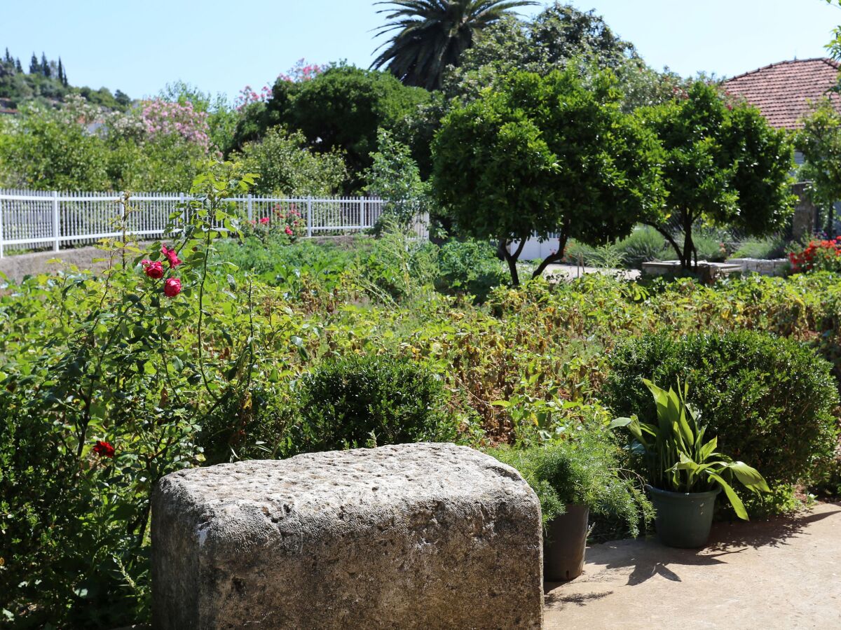 Apartment Two bedroom apartment with balcony Trpanj, Pelješac A-10148-c - Outdoor photo 5