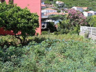 Apartment Two bedroom apartment with balcony Trpanj, Pelješac A-10148-c - Outdoor photo 6