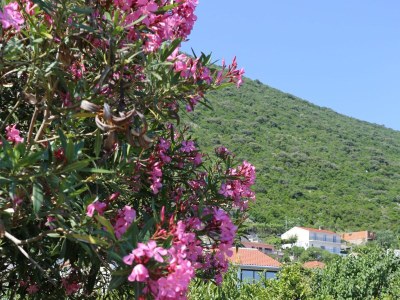 Apartment Two bedroom apartment with balcony Trpanj, Pelješac A-10148-c - Outdoor photo 7