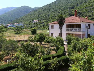 Apartment Two bedroom apartment with balcony Trpanj, Pelješac A-10148-c - Outdoor photo 20