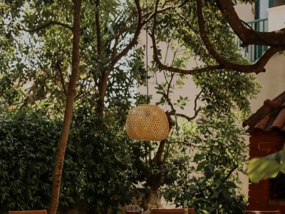 Apartment Two bedroom apartment with terrace and sea view Orebić, Pelješac A-10048-a - Outdoor photo 4