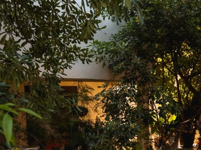 Apartment Two bedroom apartment with terrace and sea view Orebić, Pelješac A-10048-a - Outdoor photo 8