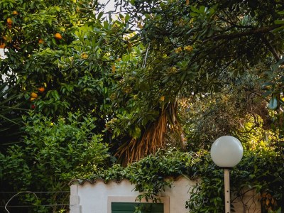 Apartment Two bedroom apartment with terrace Orebić, Pelješac A-10048-b - Outdoor photo 10