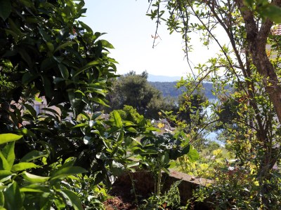 Apartment One bedroom apartment near beach Lumbarda, Korčula A-10049-c - Outdoor photo 31