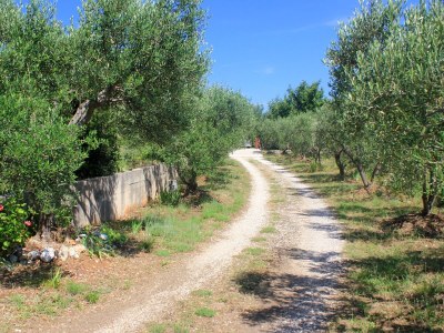 Apartment One bedroom apartment with balcony and sea view Orebić, Pelješac A-10178-b - Outdoor photo 6