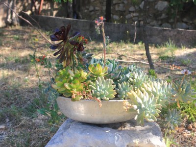 Apartment One bedroom apartment with balcony and sea view Orebić, Pelješac A-10178-b - Outdoor photo 8