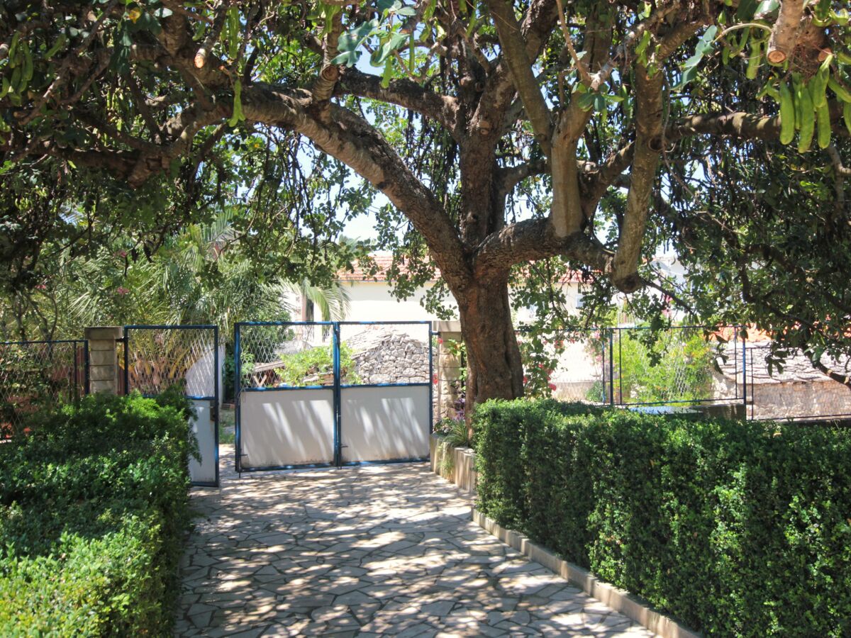 Apartment Apartments by the sea Lovište, Pelješac - 10182 - Apartments by the sea Lovište, Pelješac - 10182 - Outdoor photo 4