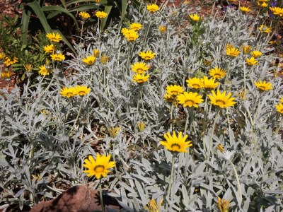 Apartment Apartments by the sea Lovište, Pelješac - 10182 - Apartments by the sea Lovište, Pelješac - 10182 - Outdoor photo 7