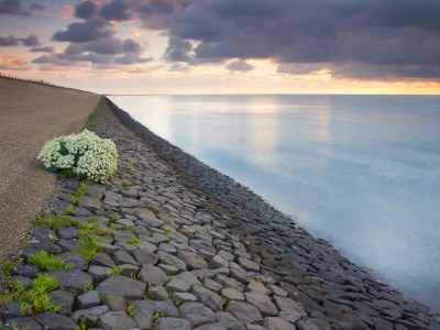 Holiday apartment De Dwaalgast - Zanddijk 284 - Environment photo 19