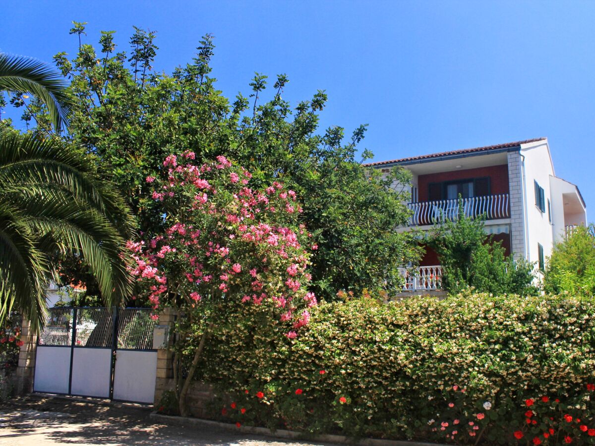 Apartment Apartments by the sea Lovište, Pelješac - 10182 - Apartments by the sea Lovište, Pelješac - 10182