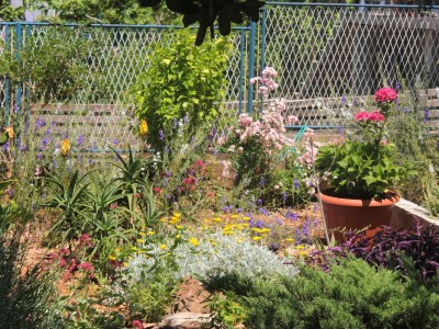 Apartment Apartments by the sea Lovište, Pelješac - 10182 - Apartments by the sea Lovište, Pelješac - 10182 - Outdoor photo 8