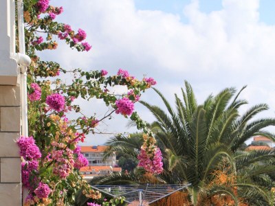 Apartment One bedroom apartment with terrace and sea view Zavalatica, Korčula A-9280-a - Outdoor photo 16