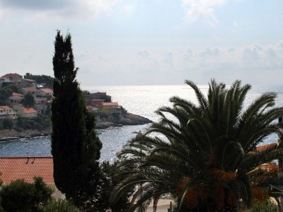 Apartment One bedroom apartment with terrace and sea view Zavalatica, Korčula A-9280-a - Outdoor photo 29
