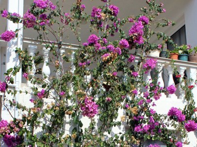 Apartment Two bedroom apartment with terrace and sea view Zavalatica, Korčula A-9280-b - Outdoor photo 15