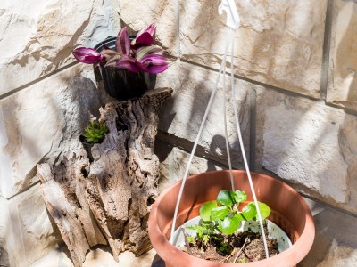 Apartment One bedroom apartment with air-conditioning Žuljana, Pelješac A-10233-b - Outdoor photo 13