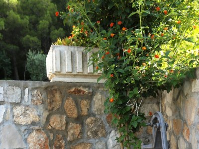 Apartment One bedroom apartment with terrace and sea view Žuljana, Pelješac A-10233-c - Outdoor photo 11