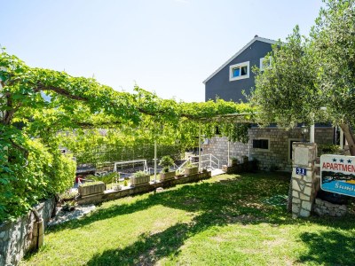 Apartment One bedroom apartment with terrace and sea view Žuljana, Pelješac A-10233-c - Outdoor photo 15