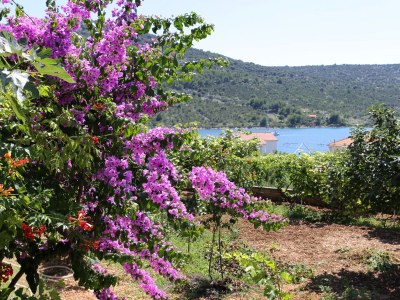 Apartment One bedroom apartment with balcony and sea view Vinišće, Trogir A-10241-a - Outdoor photo 7