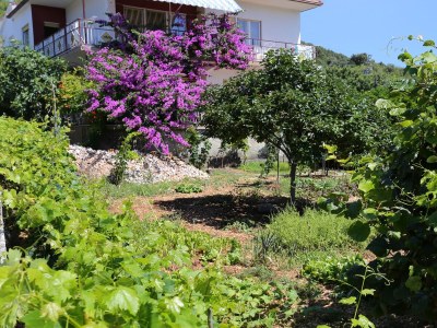 Apartment One bedroom apartment with balcony and sea view Vinišće, Trogir A-10241-a - Outdoor photo 17