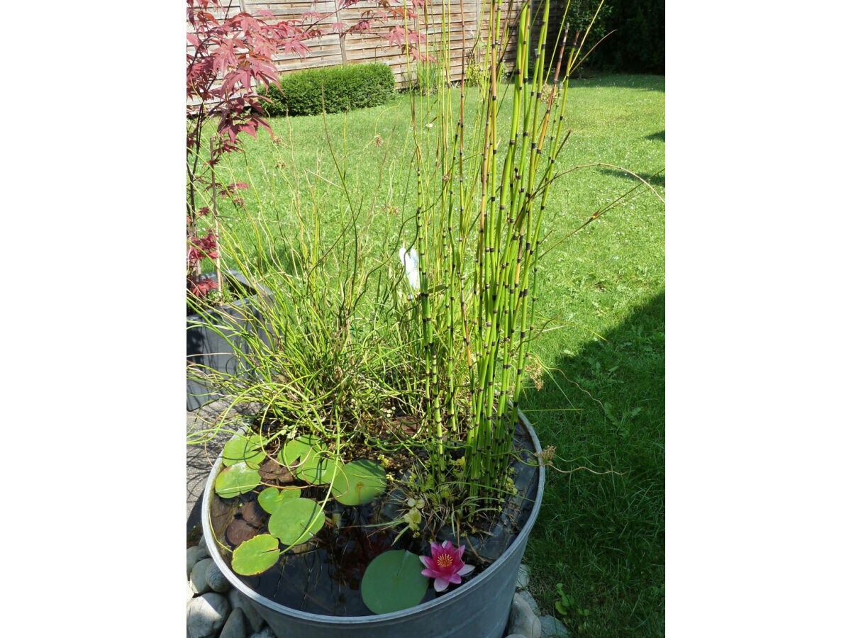 Holiday apartment Rohm - Outdoor photo 5